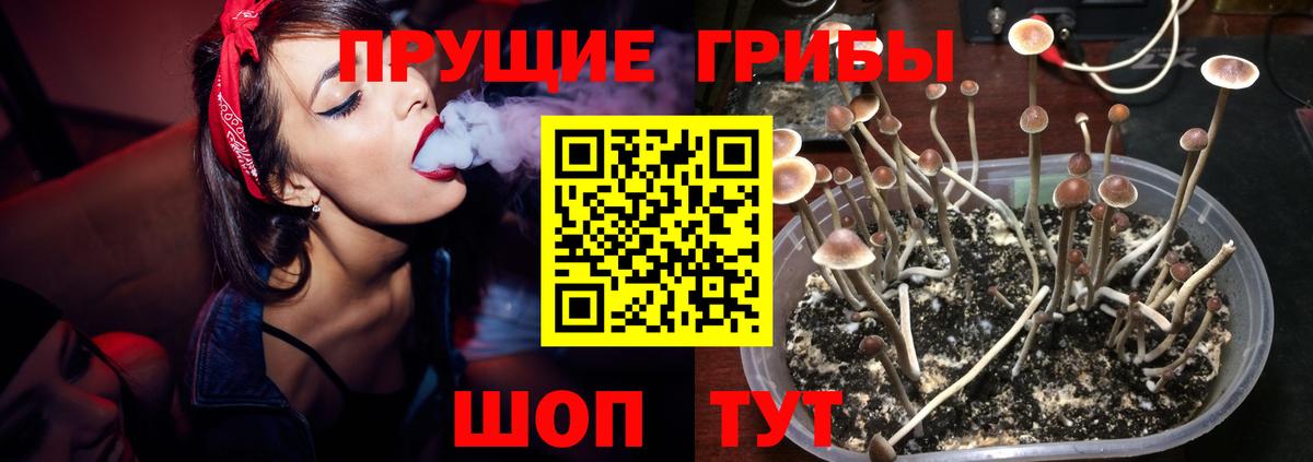 COCAIN Ейск