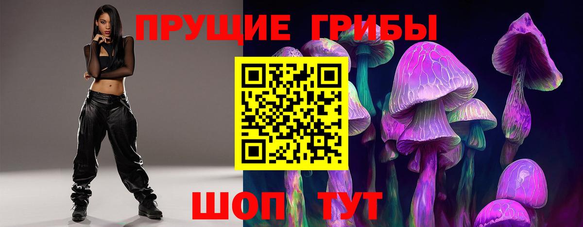 Псилоцибиновые грибы Psilocybe Ейск